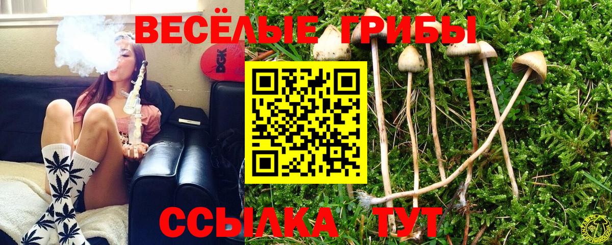Псилоцибиновые грибы мицелий  Псилоцибиновые грибы Psilocybe  Вход с VPN  Урай 